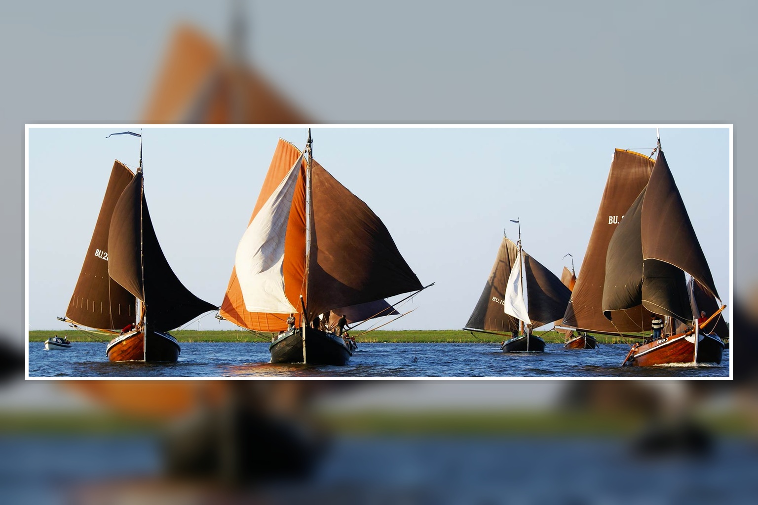 Woensdag 13 mei: Blauwe Botterrace